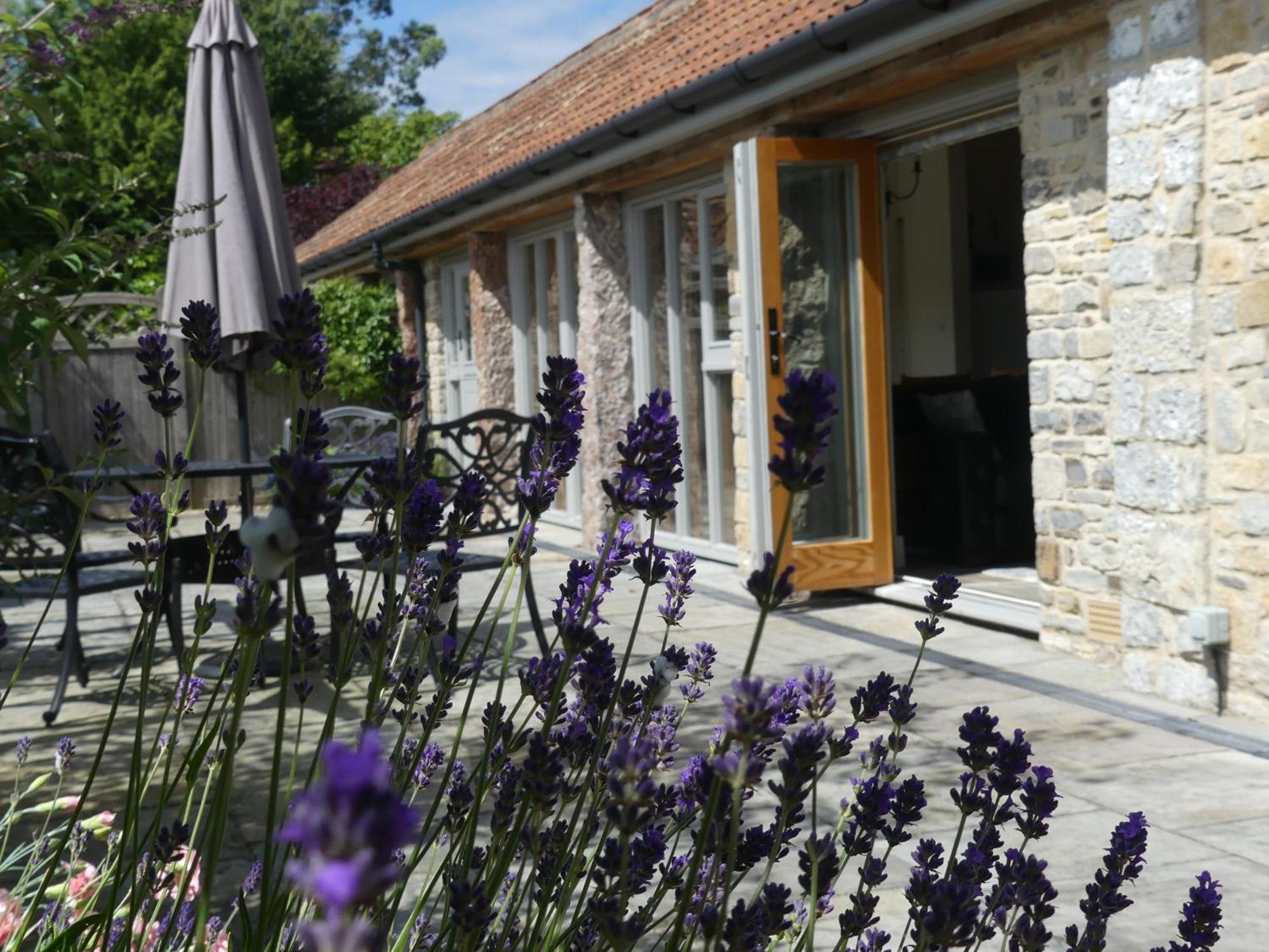 Pear Tree Cottages Wedmore Cameră foto